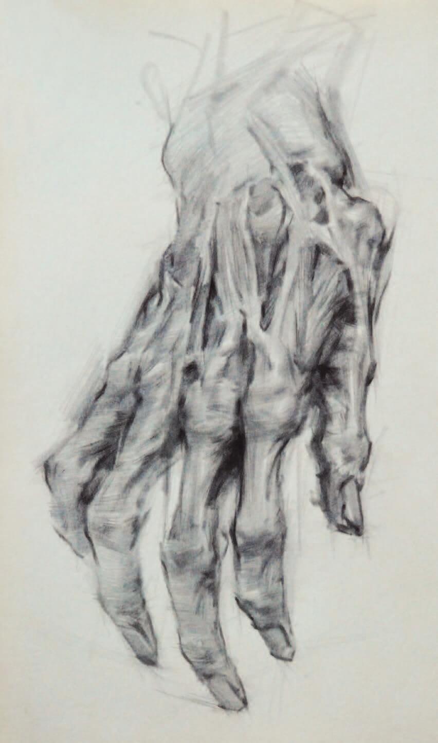 Musculoskeletal Gross Anatomy for the Figurative Artist – The Art